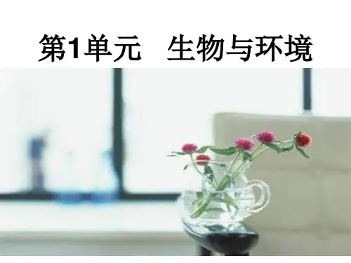 (六上)科学优秀课件-1.1一棵顽强的小树 ｜湘科版(一起) PPT(26页)
