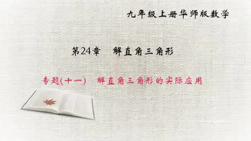 专题(十一) 解直角三角形的实际应用PPT课件(华师大版)