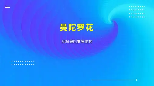 曼陀罗花    