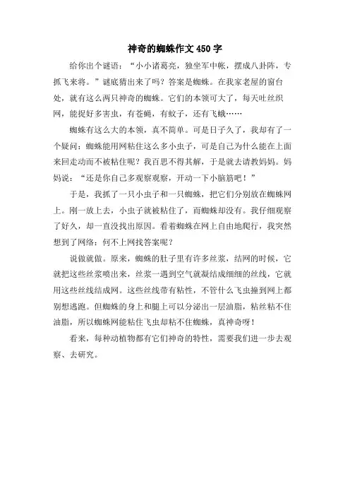 神奇的蜘蛛作文450字