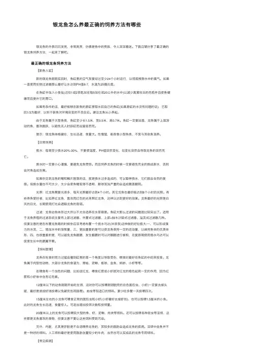 银龙鱼怎么养最正确的饲养方法有哪些