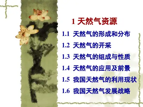 天然气化工工艺学(全)