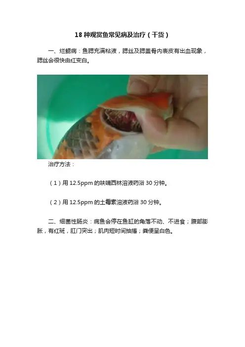 18种观赏鱼常见病及治疗（干货）