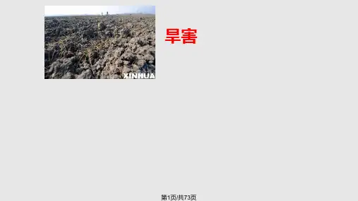 风景园林植物基础植物的抗逆生理PPT课件
