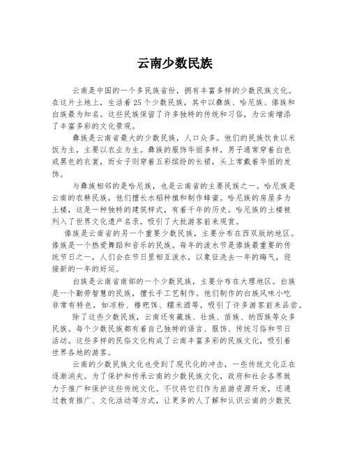 云南少数民族