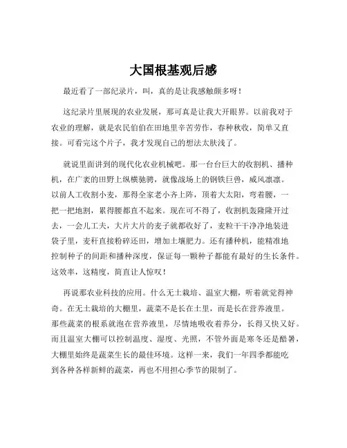 大国根基观后感