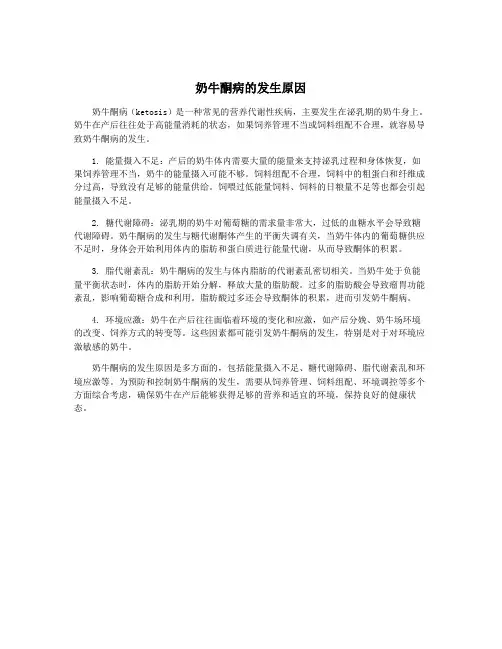 奶牛酮病的发生原因