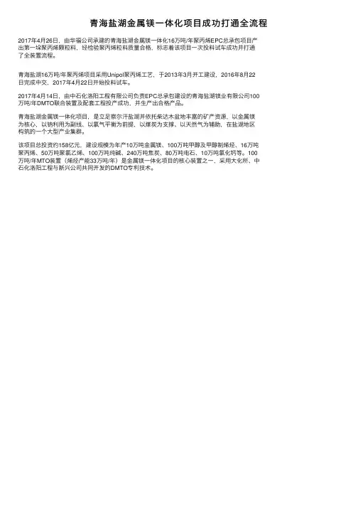 青海盐湖金属镁一体化项目成功打通全流程