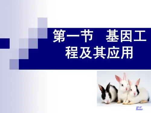 基因工程及其应用