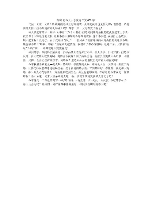 寒冷的冬天小学优秀作文600字