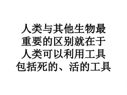 人类对细菌真菌的利用