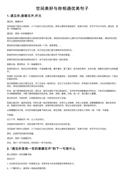 世间美好与你相遇优美句子
