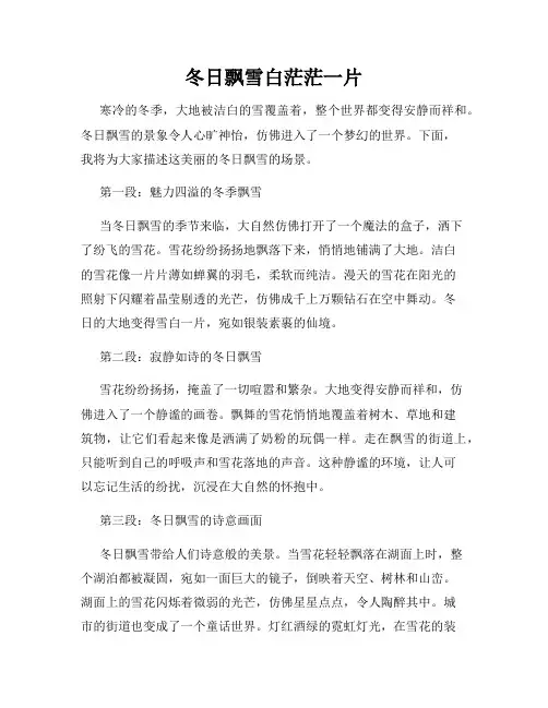 冬日飘雪白茫茫一片