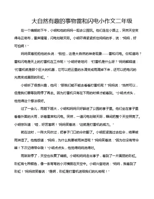 大自然有趣的事物雷和闪电小作文二年级