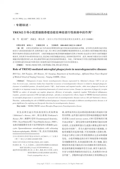 TREM2介导小胶质细胞吞噬功能在神经退行性疾病中的作用