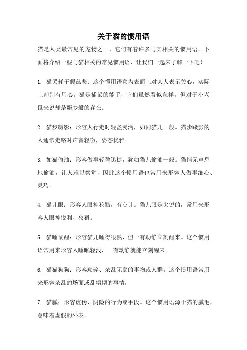 关于猫的惯用语