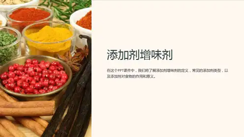 《添加剂增味剂》课件
