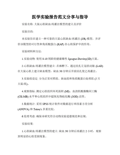 医学实验报告范文分享与指导