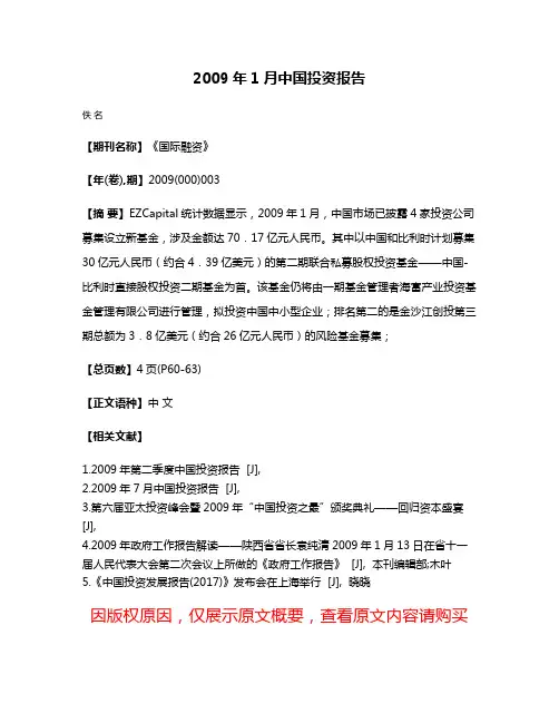 2009年1月中国投资报告