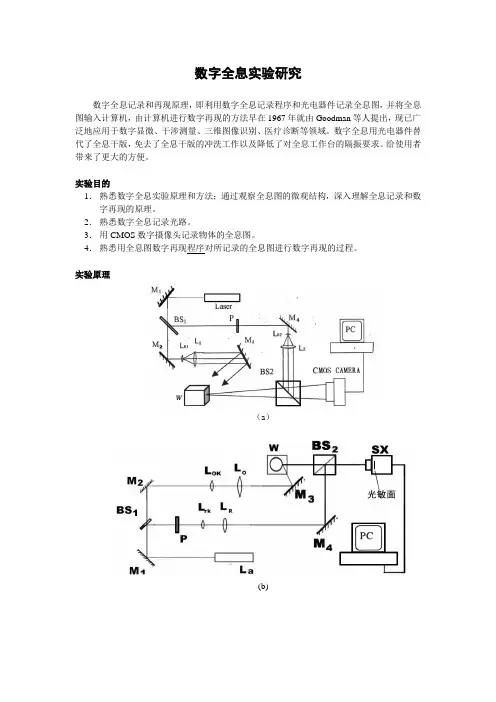 信息光学专题试验数字全息试验