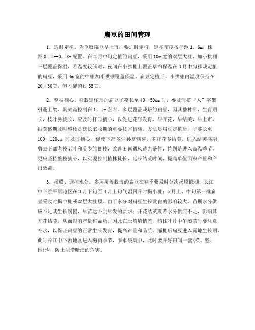 扁豆的田间管理