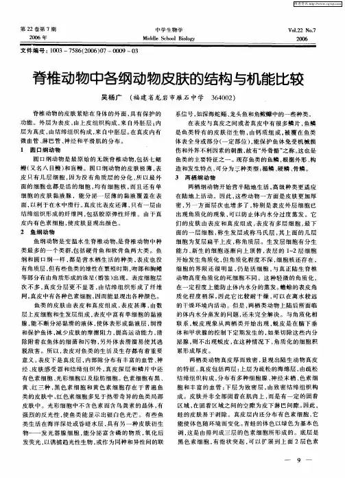 脊椎动物中各纲动物皮肤的结构与机能比较