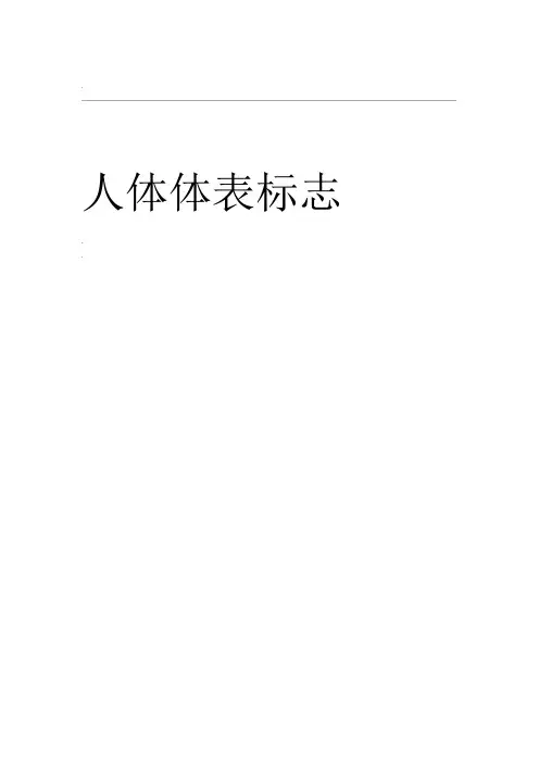 人体体表标志