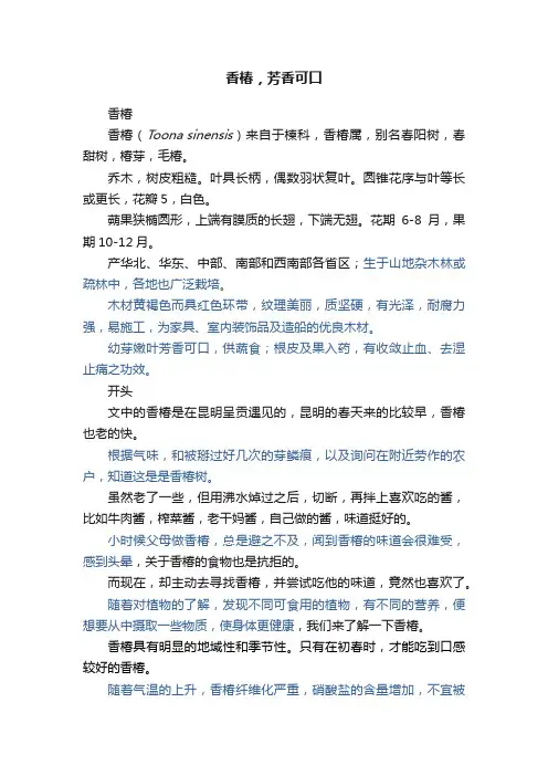 香椿，芳香可口