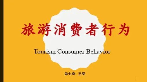 旅游消费者行为(第七章 决策)
