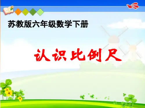 苏教版六年级下册数学课件4.5 比例尺(共19张PPT)