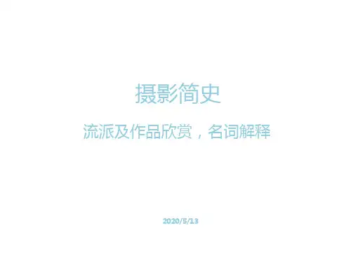 摄影简史：流派及作品欣赏,名词解释.