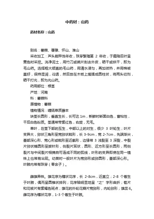中药材：山药