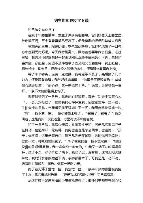 钓鱼作文800字5篇