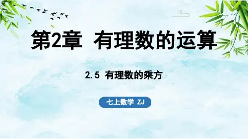 2.5 有理数的乘方七年级上册数学浙教版