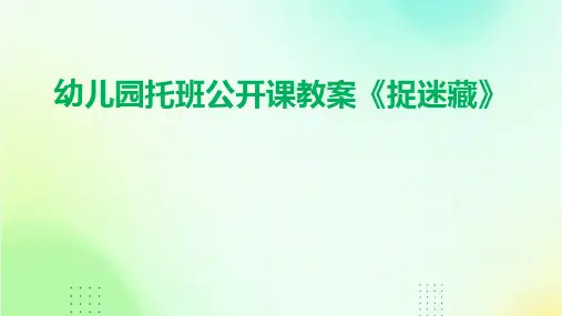 幼儿园托班公开课教案《捉迷藏》