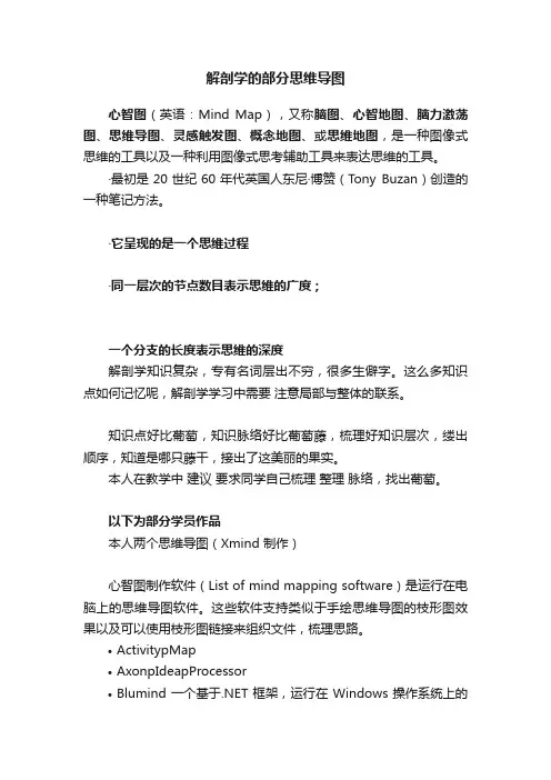 解剖学的部分思维导图