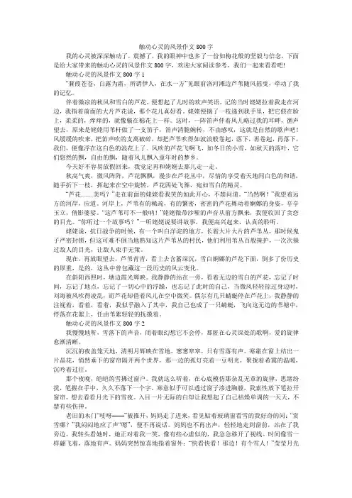 触动心灵的风景作文800字