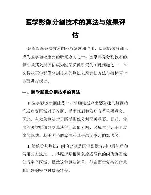 医学影像分割技术的算法与效果评估