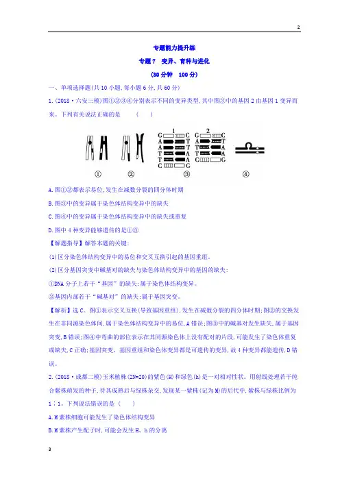 【高考快递】2019版高考生物二轮复习练习：专题七 变异、育种与进化 专题能力提升练 专题7 