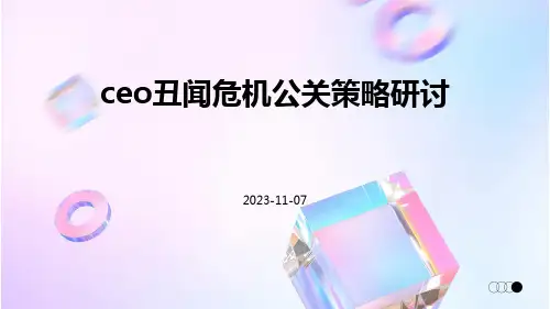 CEO丑闻危机公关策略研讨