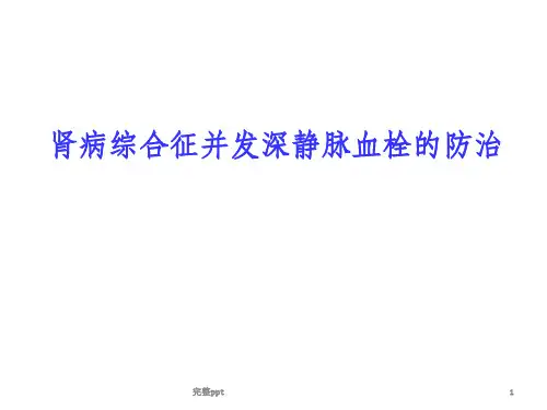 肾病综合征高凝机制及抗凝治疗