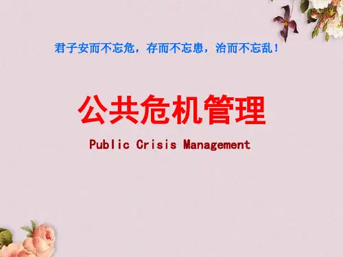 公共危机管理与突发事件应对正式(PPT 109页)