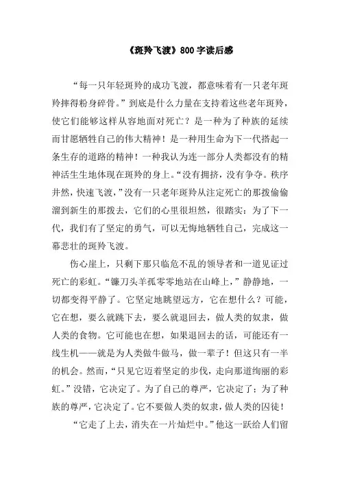 美妙的羚羊峡谷读后感