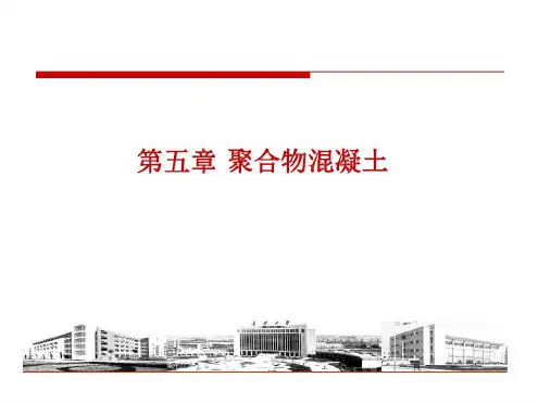 聚合物混凝土要点_2023年学习资料