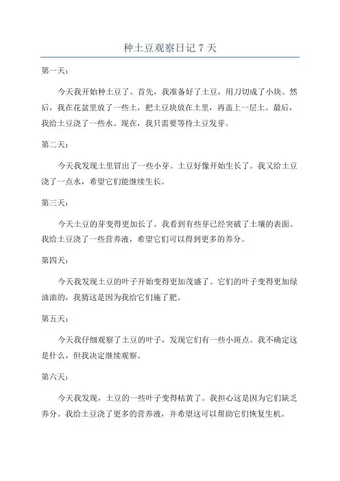 种土豆观察日记7天