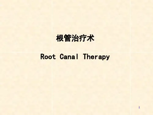 根管治疗术课件