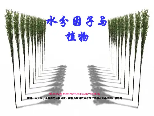 森林生态学-水分因子