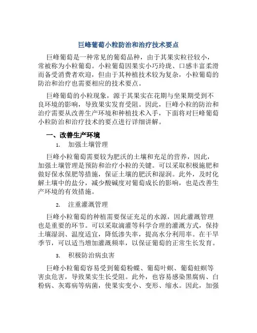 巨峰葡萄小粒防治和治疗技术要点