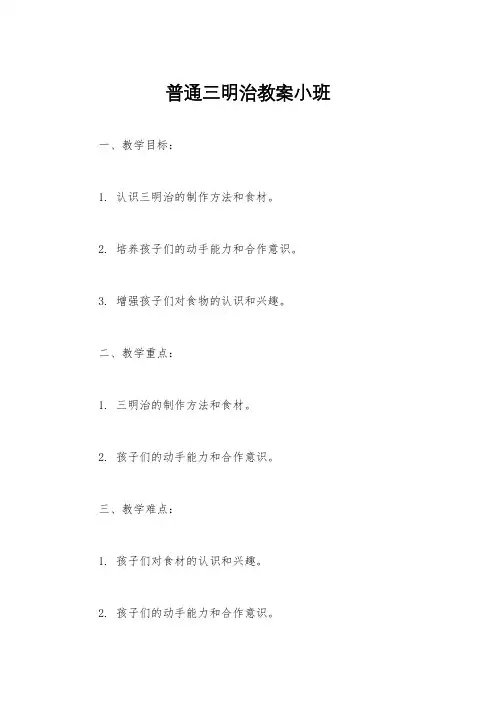 普通三明治教案小班