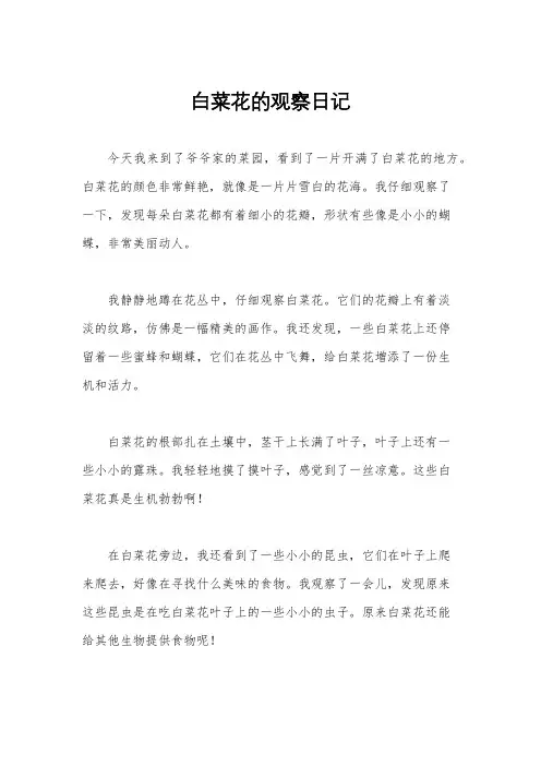 白菜花的观察日记